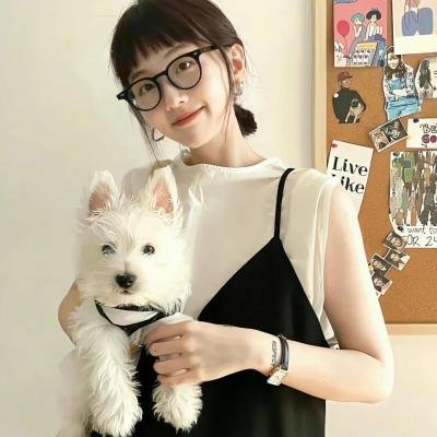 巧手神探高能版